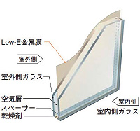 9万年前の埋没杉